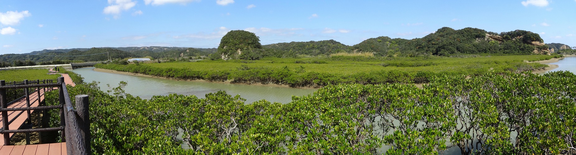 mangrove-park2018-3-11.jpg(488774 byte)