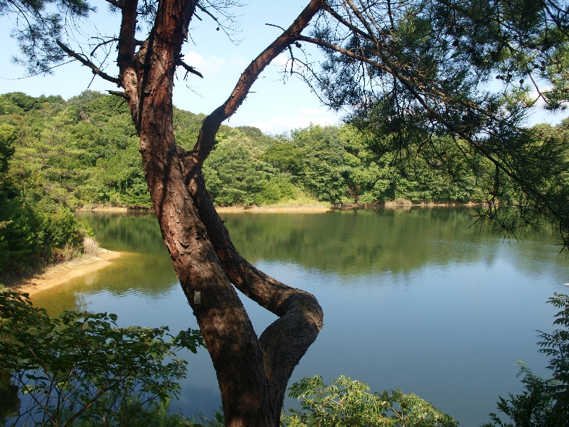 Seita-Forest_lake2.jpg(574659 byte)