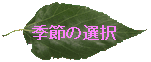 leaf1.gif(4443 byte)
