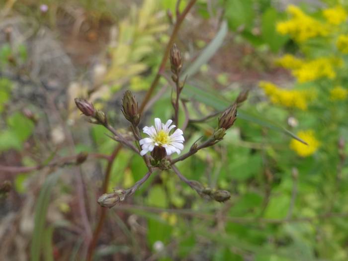 �q���n�z�E�L�M�N